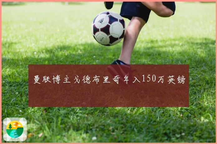 曼联博主戈德布里奇年入150万英镑