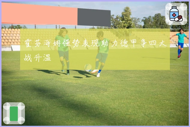 霍芬海姆强势表现助力德甲争四大战升温